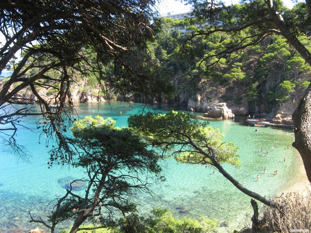 بالس Aparthotel Arenal المظهر الخارجي الصورة
